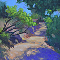 Shady Path
